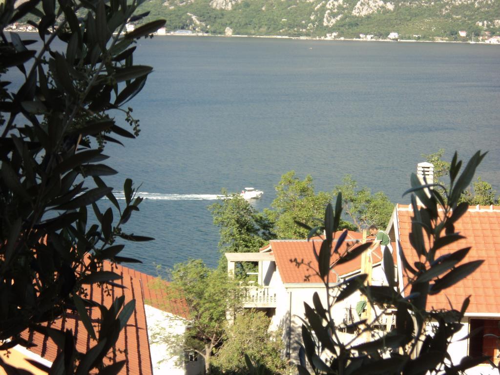 Guest House Pajovic Kotor Eksteriør bilde