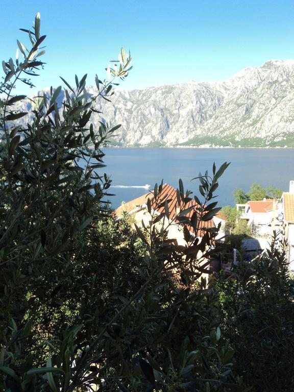 Guest House Pajovic Kotor Eksteriør bilde